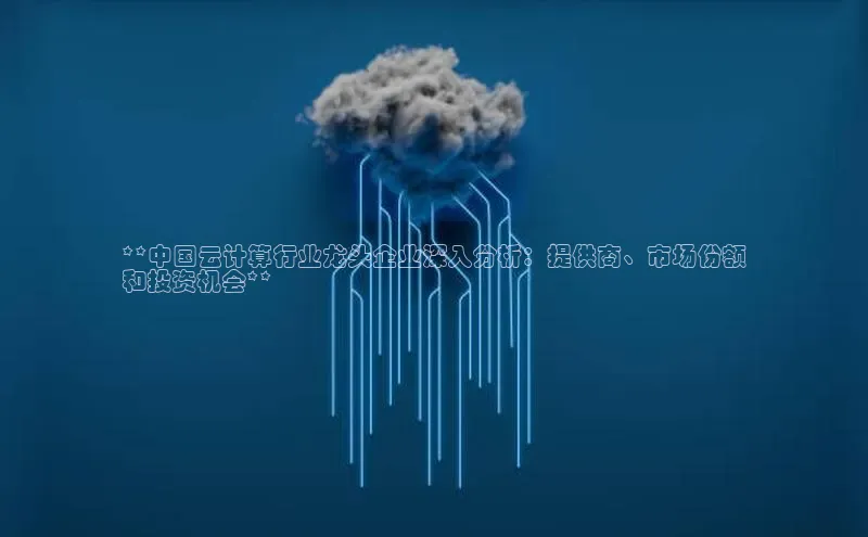 杏鑫平台登录地址百度手机输入法**中国云计算行业龙头企业深入分析：提供商、市场份额
和投资机会**