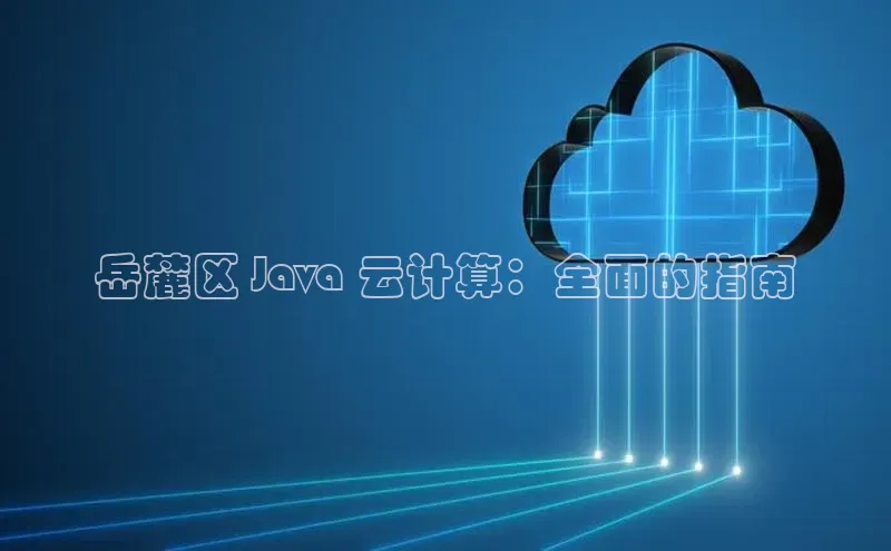 杏鑫是正规彩票平台吗百度翻译App岳麓区 Java 云计算：全面的指南