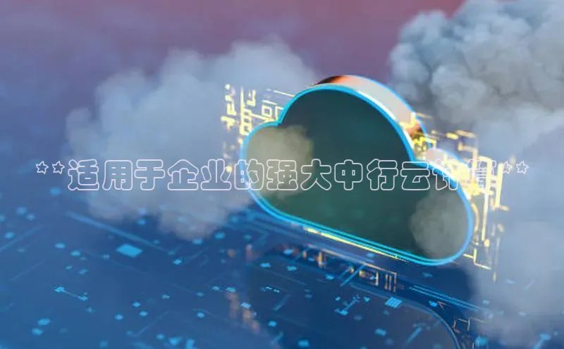 杏鑫平台登录地址网易**适用于企业的强大中行云计算**