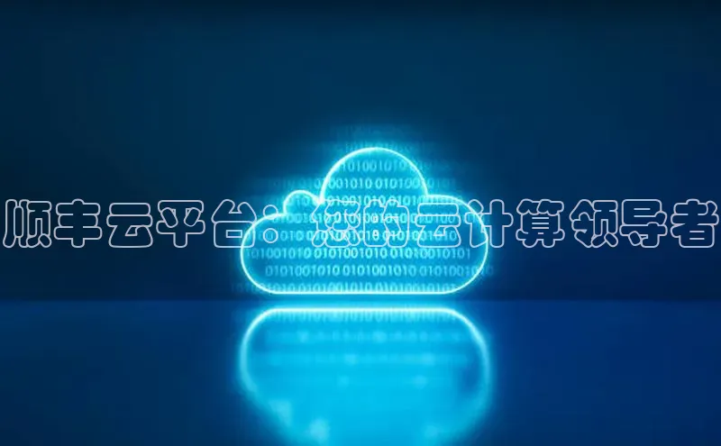 杏鑫彩票官网登录百度学术顺丰云平台：您的云计算领导者