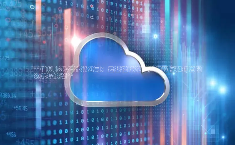 杏鑫平台手机登录入口百度教育**信息服务云计算公司：云基础设施、应用程序和托管的
领先提供商**