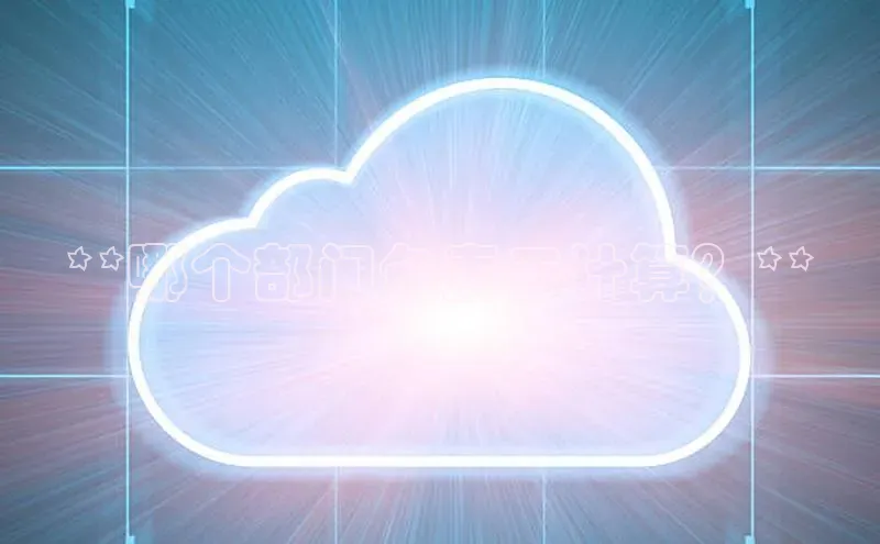 杏鑫新闻光魔科技**哪个部门负责云计算？**