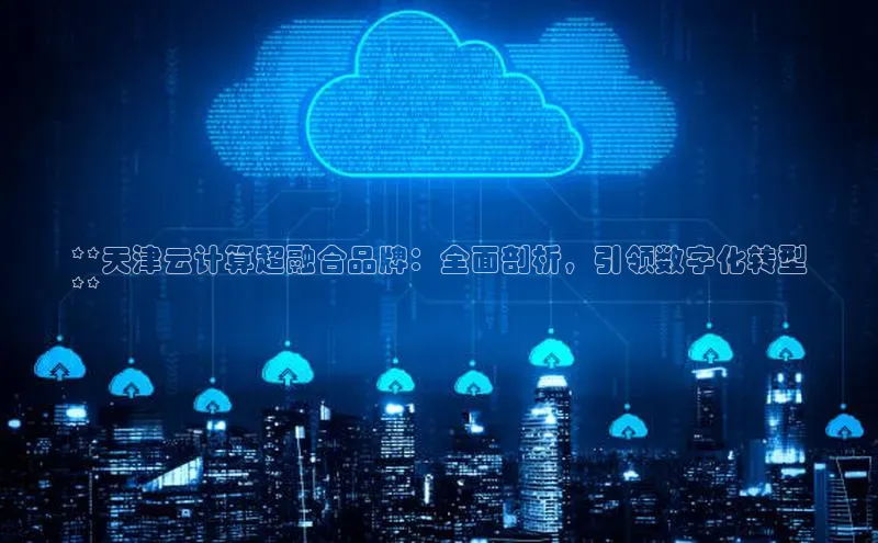 杏鑫平台登录地址极氪智能科技**天津云计算超融合品牌：全面剖析，引领数字化转型
**