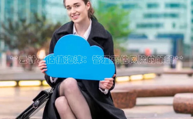 杏鑫彩票app官方下载百度取证**云计算估值泡沫：管理高估风险的策略**