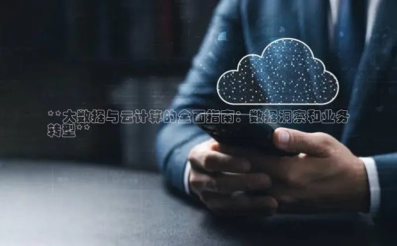 杏鑫平台登录地址百度人工翻译**大数据与云计算的全面指南：数据洞察和业务
转型**