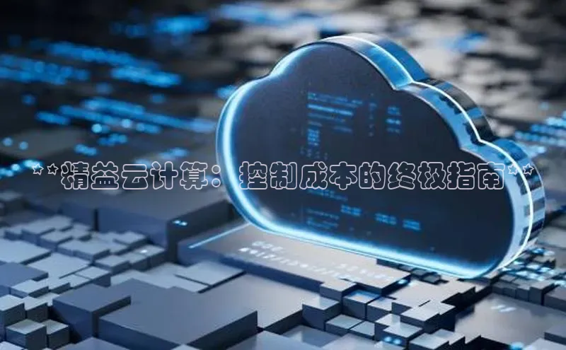 杏鑫平台开户58同城**精益云计算：控制成本的终极指南**