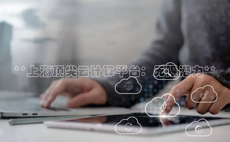 杏鑫平台线路测速百度信誉**上海顶尖云计算平台：无限潜力**