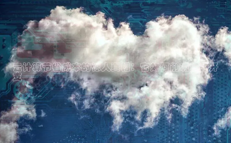 杏鑫彩票app官方下载路畅科技云计算节省成本的惊人真相：它如何削减您的开
支