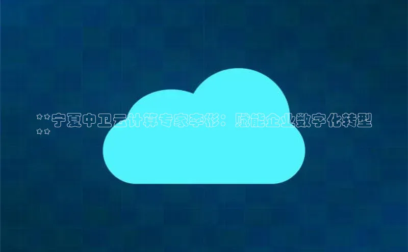 杏鑫平台注册登录百度网盘企业版**宁夏中卫云计算专家李彬：赋能企业数字化转型
**