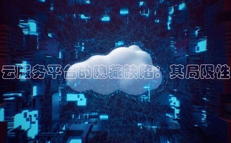 杏鑫平台注册官网阿里尔公司云服务平台的隐藏缺陷：其局限性