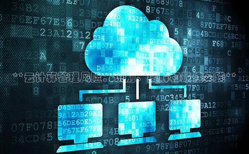 杏鑫注册地址百度手机助手**云计算管理风险：识别、缓解和最佳实践**