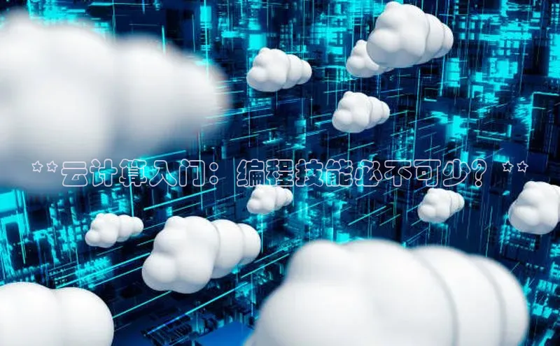 杏鑫是正规彩票平台吗小红书**云计算入门：编程技能必不可少？**