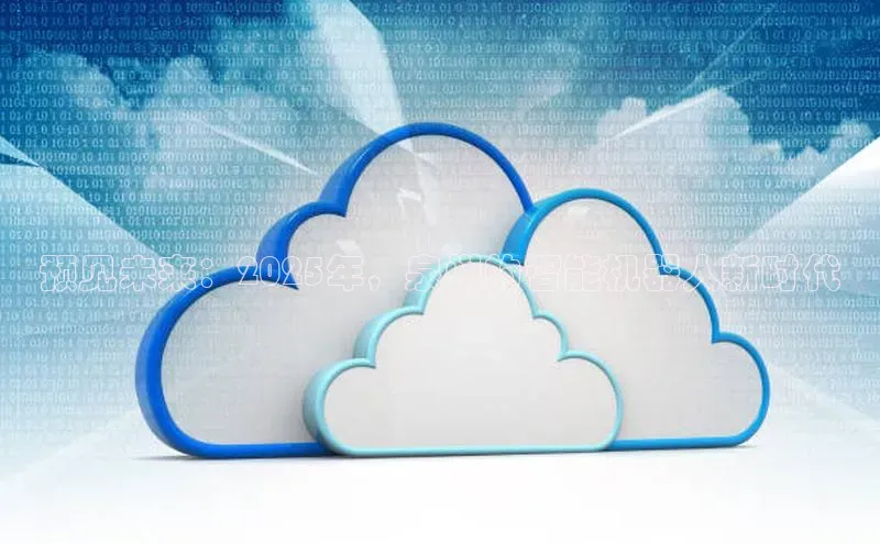 预见未来：2025年，泉州的智能机器人新时代